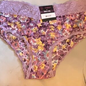 XXL 19 5/$15 SHEER CHEEKY PANTIE PANTY NEW